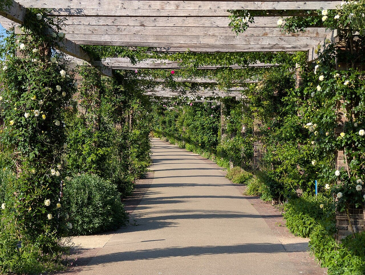 Pergola bioclimatique adossée aluminium