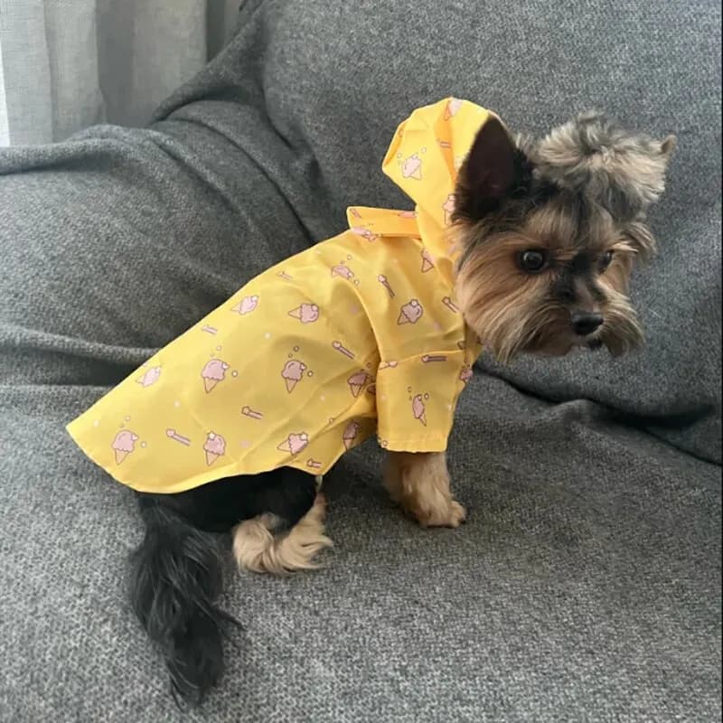 Imperméable pour chien avec chapeau, manteau d'été imperméable à manches courtes pour Bichon, Schnauzer et autres petits chiens