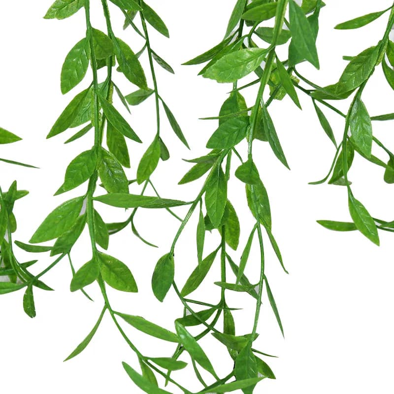 Feuilles de Saule et Vignes pour Décoration de la Maison