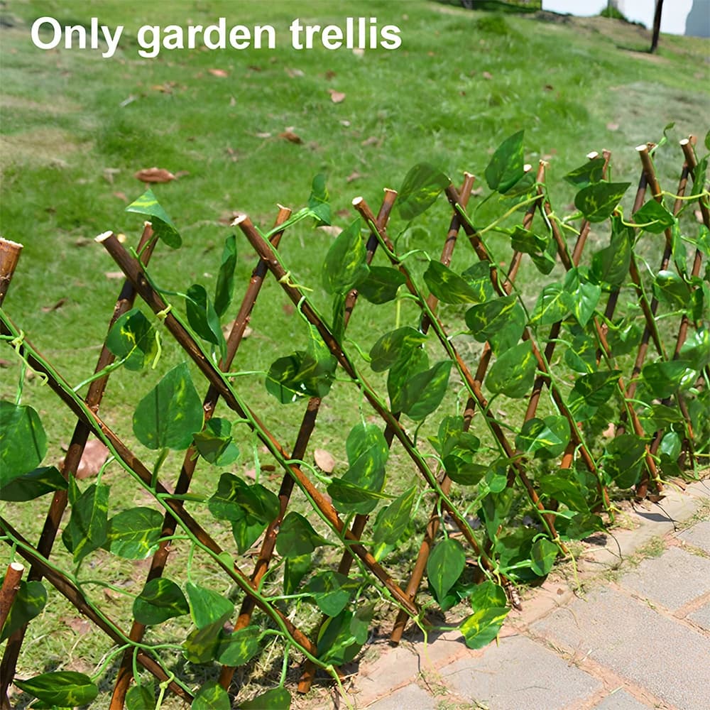 Écran de confidentialité en treillis extensible pour jardin