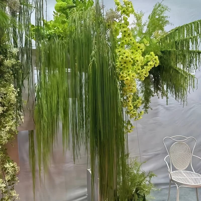 Vignes artificielles suspendues en saule vert
