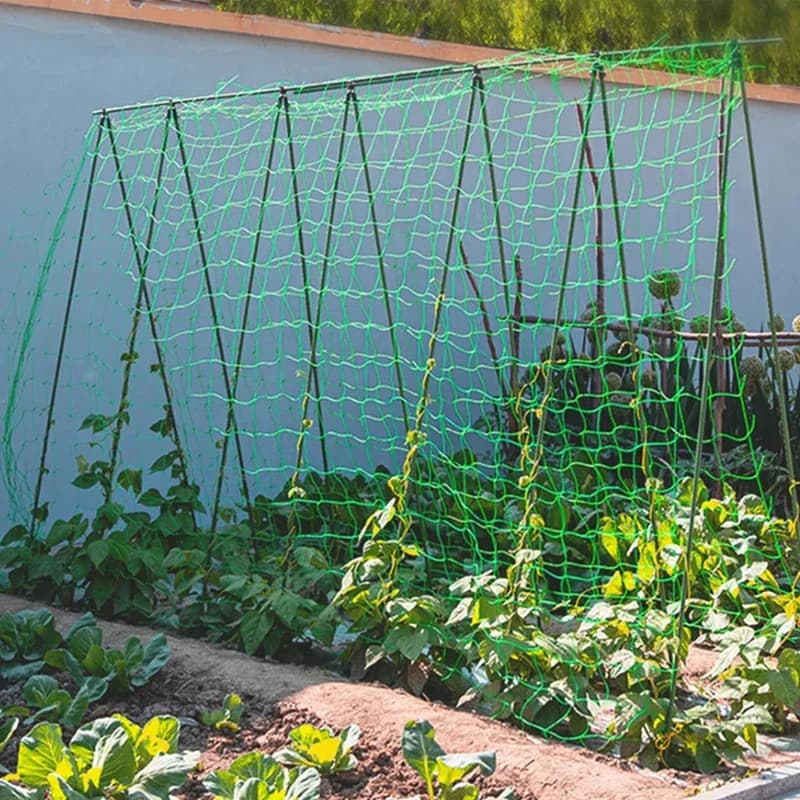 Pergolas de treillis pour plantes