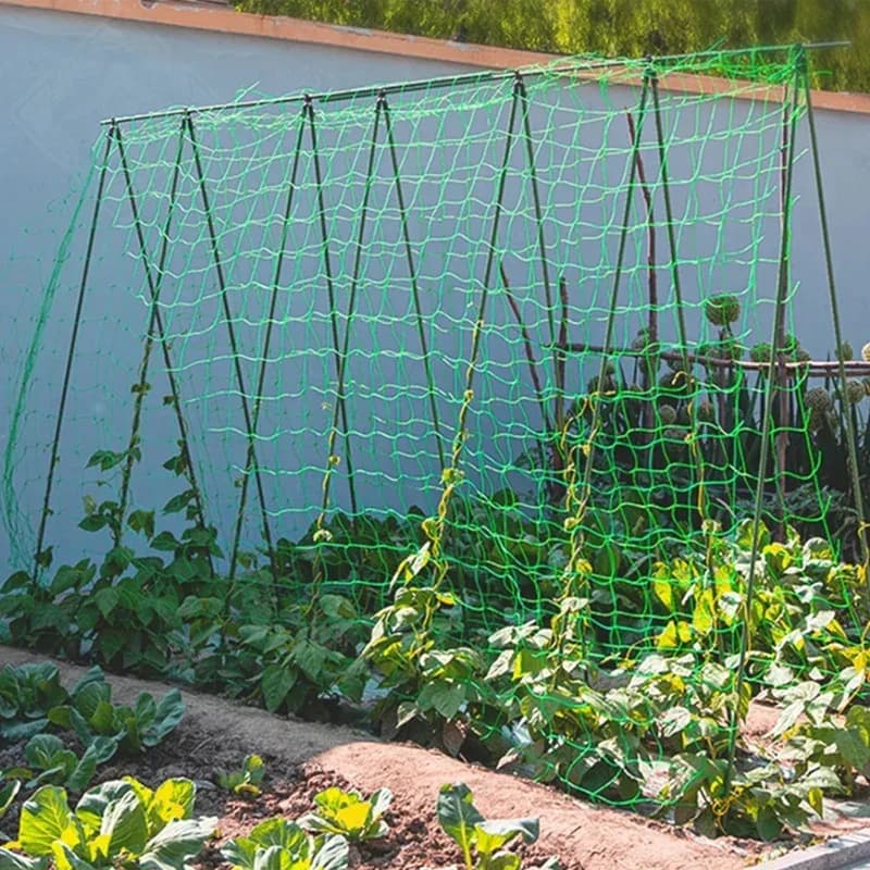 Pergolas pour plantes, filet de culture en polyester robuste