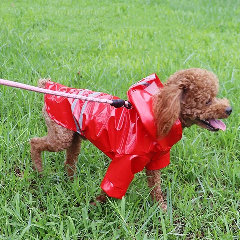 Petit chien imperméable réfléchissant imperméable coupe-vent chien manteau chiot chats imperméable Chihuahua bouledogue animaux Cape Poncho vêtements