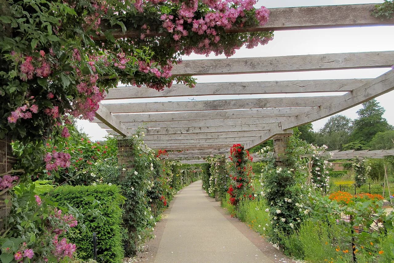 Pergolas Bioclimatiques