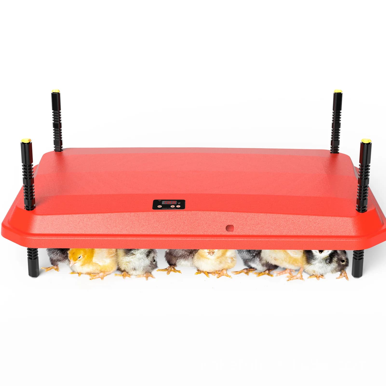 Plaque chauffante pour poussins, chauffage pour poulets, canards, oies, cailles, incubateur, chauffage pour couveuse de poulets