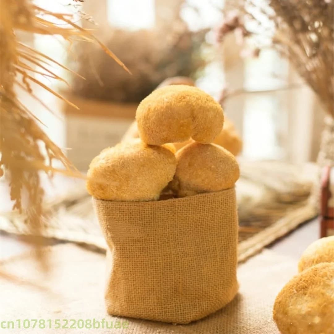 Champignons Crinière de Lion Séchés de Haute Qualité, Hericium Erinaceus Naturel, Matériel pour Artisanat en Résine
