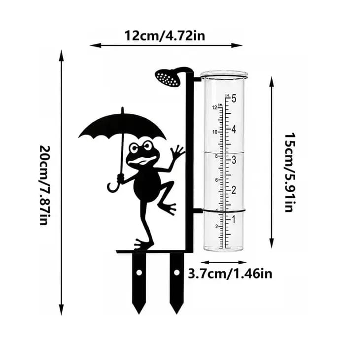 Pluviomètre en fer forgé en forme de grenouille, collecteur d'eau de pluie, résistant au gel, décora